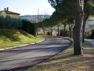 Fototapeta premium Curved empty road in nature with trees and soft light