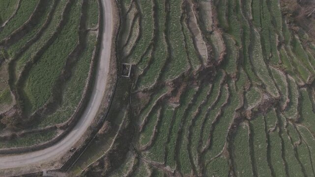 Top-down aerial view of Sainji corn village near Mussoorie, Uttarakhand, showing terrace farms and village houses forming abstract patterns on misty Himalayan slopes in winter.