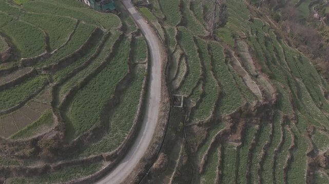 Top-down aerial view of Sainji corn village near Mussoorie, Uttarakhand, showing terrace farms and village houses forming abstract patterns on misty Himalayan slopes in winter.
