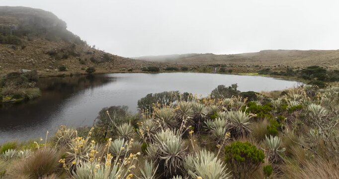 Beautiful paramo lake into Colombian Andean mountains with fog and cloudy skies