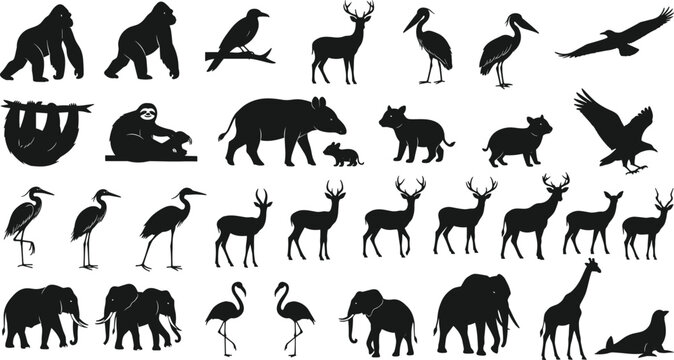Animal silhouettes including gorillas, birds, deer, elephants, cats, giraffes, seals, diverse wildlife collection, vector illustration design