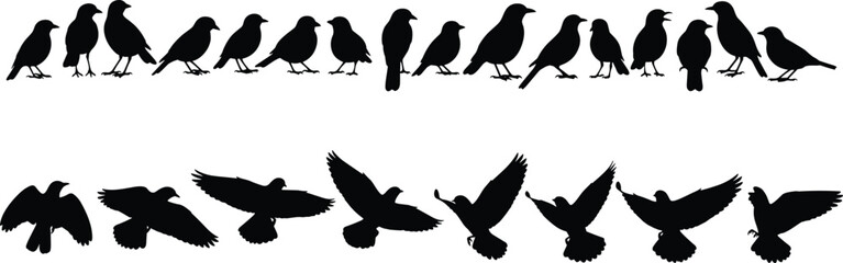Fototapeta premium Bird silhouettes collection, perched and flying poses, wing positions, avian motion study, wildlife illustration, vector art resource
