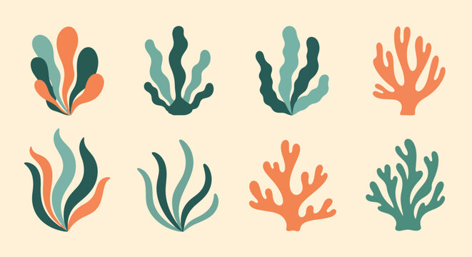 Various colorful seaweeds are artistically arranged, providing a diverse collection of vibrant marine algae, ideal for graphic design or decoration projects requiring a nautical and artistic