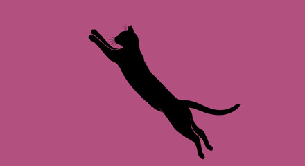 Black cat jumping in air 1. © Z Z K V V C Art