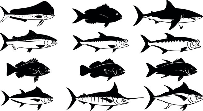 Black silhouette vector illustration of diverse fish species, marine life, side profiles, fin variations, aquatic biology, fishing, ocean design artwork