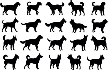 Fototapeta premium Dog silhouette vector illustration with diverse breeds, standing and sitting poses, expressive posture artwork, creative design elements, decorative composition