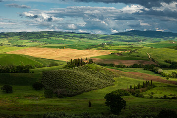 Obraz premium Vibrant green landscape of Val d'Orcia, Tuscany, featuring iconic rolling hills and cypress trees under a soft morning light. A perfect representation of Italian rural beauty and tranquility.