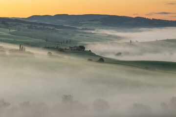 Naklejka premium Vibrant green landscape of Val d'Orcia, Tuscany, featuring iconic rolling hills and cypress trees under a soft morning light. A perfect representation of Italian rural beauty and tranquility.