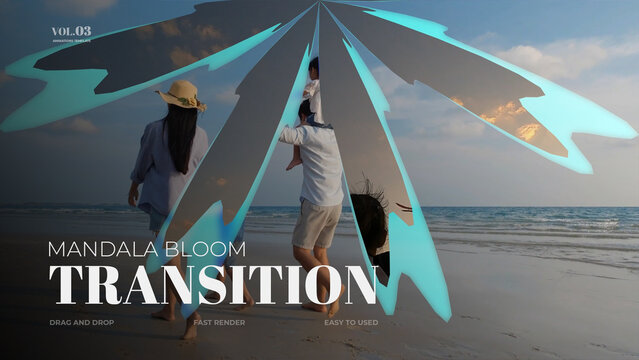 Mandala Bloom Transition / Horizontal / Part 03