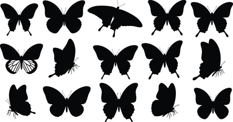 Silhouettes of butterflies in diverse wing shapes, vector illustration showing insect patterns, posture variations for creative, artistic, and educational use © MstHena