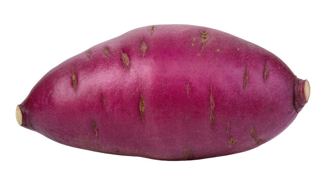 Fresh vibrant purple sweet potato, a healthy and organic root vegetable, isolated on transparent background, rich in nutrients PNG