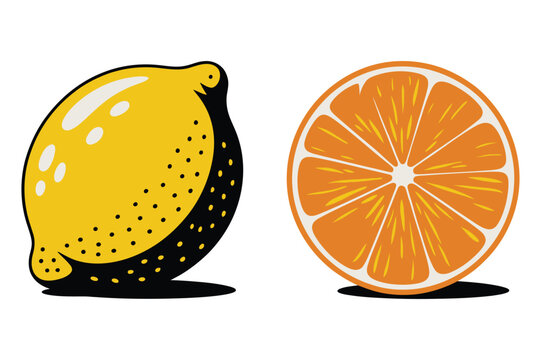 Lemon and orange slice vector illustration