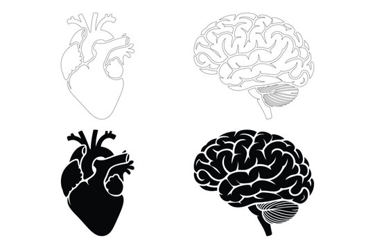 Heart and brain vector illustration