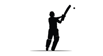 A cricket batsman prepares to hit a ball dark silhouette © md