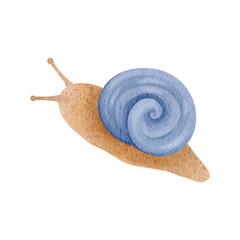 Cute watercolor snail with colorful shell. Hand drawn cartoon garden snail isolated on white background.