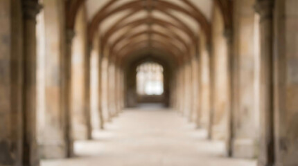 Obraz premium Intentionally Blurred long historical hallway interior with arched ceiling and natural light