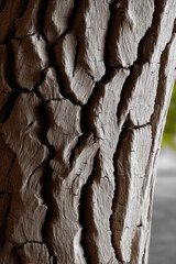 Naklejka premium Close up of textured tree bark with deep cracks, rough surface, natural brown color, vertical pattern, outdoor nature detail