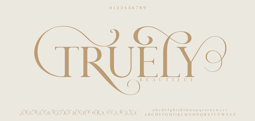 TRUELY premium luxury elegant alphabet letters and numbers. Elegant wedding typography classic serif font decorative vintage retro. Creative vector illustration © DesignerST