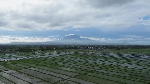 Aerial panoramic view of Kawi and Arjuno mountains peak over lush green rice fields in East Java.