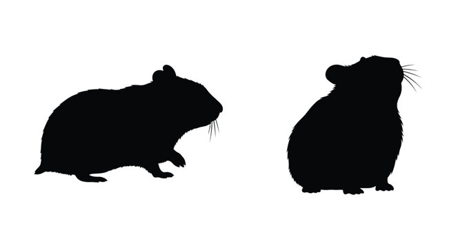 Two adorable hamster silhouettes against a plain white background silhouette