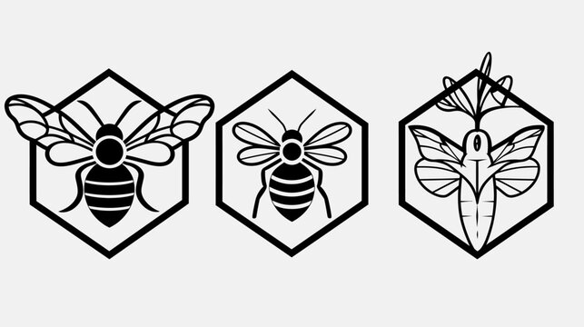Three hexagon-framed insect outlines, bees and moth, line art against a white background