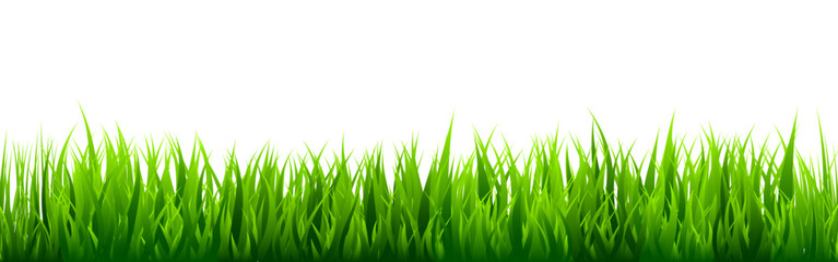 Naklejka premium Meadow silhouette with green grass, plants on plain. Panoramic summer lawn landscape with herbs, various weeds. Herbal border, frame element. Black horizontal banners. Vector illustration