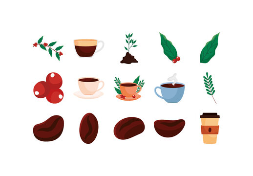 Coffee Botanical Illustration Set