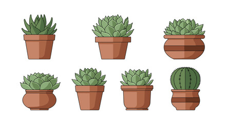 Fototapeta premium Eight potted succulents and a cactus are arranged in two rows on a plain white background.