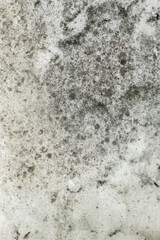 Naklejka premium fondo textura pared de exterior blanca con manchas oscuras 