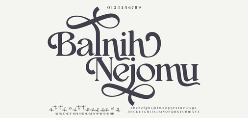 Balnih Nejomu Premium luxury elegant alphabet letters and numbers. Elegant wedding typography classic serif font decorative vintage retro. Creative vector illustration © Brand_Studio