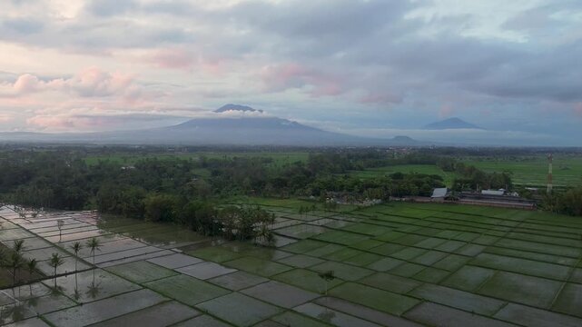 Aerial panoramic view of Kawi and Arjuno mountains peak over lush green rice fields in East Java.