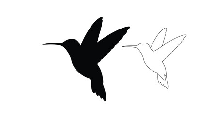 Two hummingbirds depicted in contrasting styles including a bold silhouette © MDRAYHAN