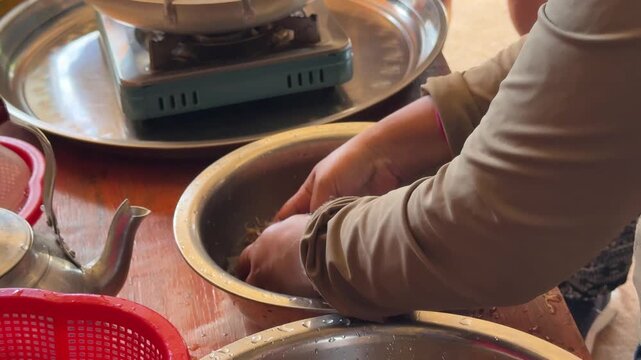 Closeup of Woman Washing Tarantula Spiders for Cooking in South East Asia