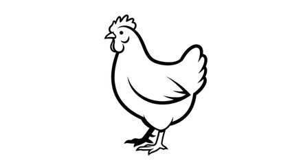 Detailed line drawing of a standing chicken. © Kangmas
