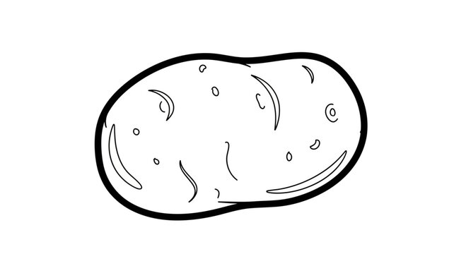 Simple line drawing of a potato on a white background