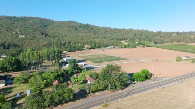 Cannabis Farm near Medford, OR - Drone