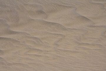 Obraz premium Namibia, grains of sand on the dunes, texture, background 