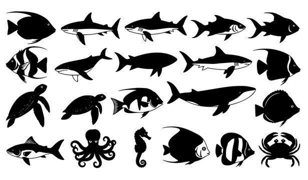 Sea animals silhouette vector set with fish shark dolphin and marine creatures