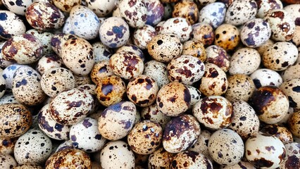 Obraz premium Pile of Quail Eggs, which are a source of animal protein in small sizes with a distinctive brown spot pattern (2)