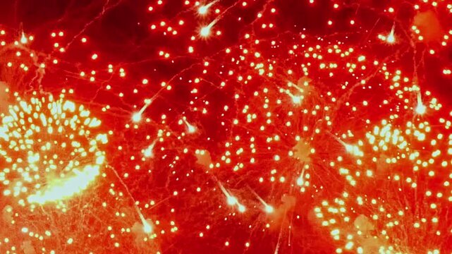 Witness the awe-inspiring beauty as firework explosions light up the night sky during an Independence Day celebration. Celebrate with these dazzling, vibrant sparks.
