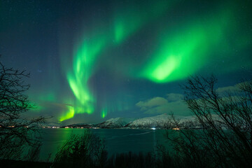 Vibrant green aurora borealis ribbon over arctic fjord and mountains © FelixB