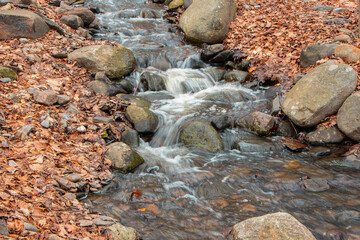 Obraz premium small brook cascading over rocks in barrett park
