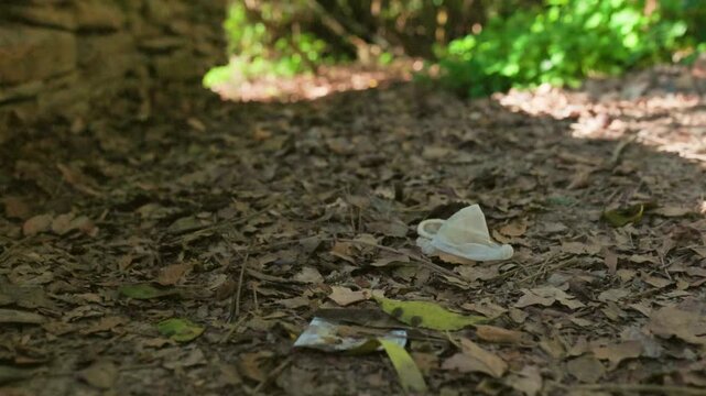 Used condom and wrapper littering forest floor