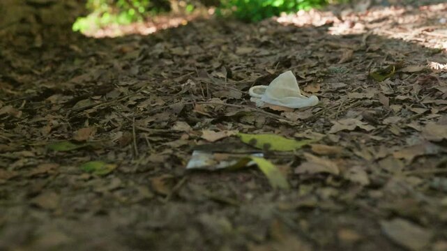 Discarded condom lying on the forest floor