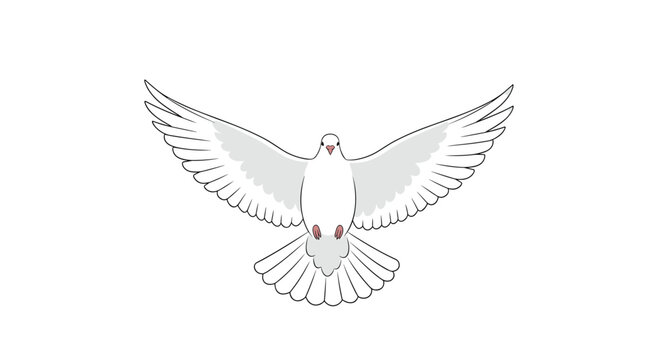 A white dove is flying directly towards the viewer with its wings fully outstretched horizontally, outlined in black against a white background.