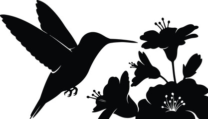 Silhouette flying hummingbird with beautiful blooming flowers drinking nectar vector design © Tamjida Alam