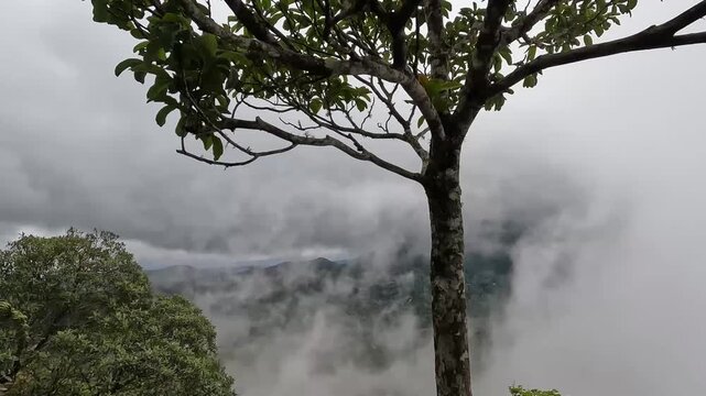 Vista do alto da serra na cidade de Araponga, regi&atilde;o da Serra do Papagaio, Estado de Minas Gerais, Brasil