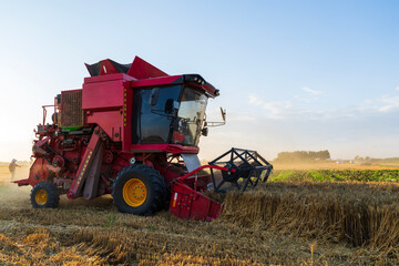 Obraz premium The combine is harvesting the wheat in the evening