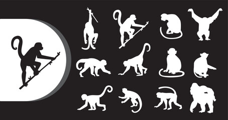 A collection of monkey silhouettes in various poses on a black background © Graphicclick
