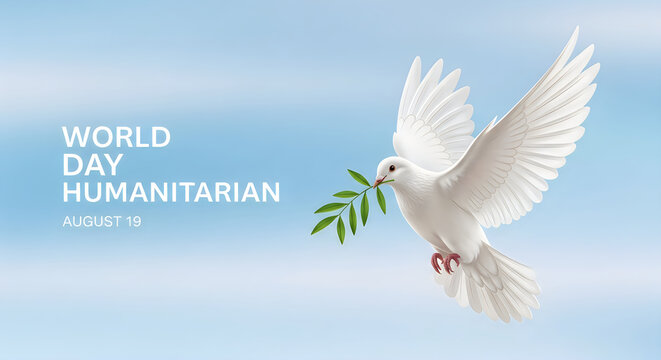 A white dove holding an olive branch against a light blue sky for world humanitarian day event